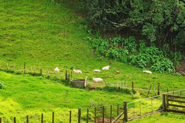4 Cannell Farm Drive Te Puke_27