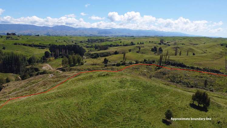 254A Maunga Road Dannevirke_17