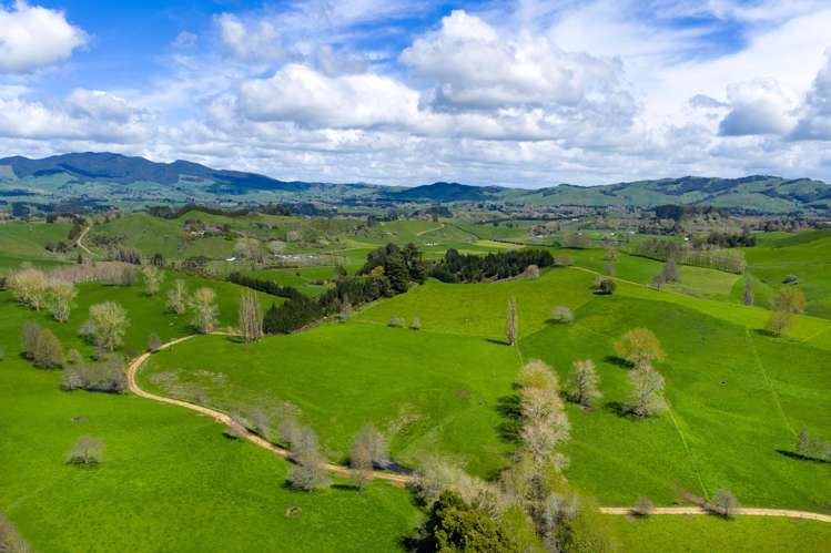 4/366 Karapiro Road Karapiro_5