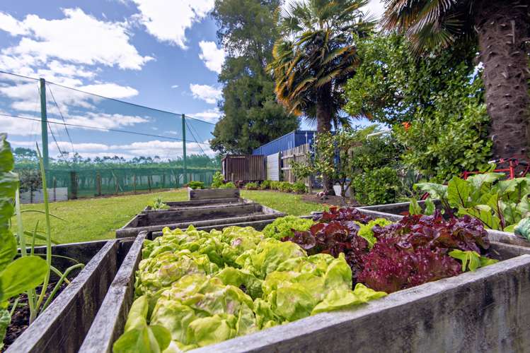 37 Otara Road Opotiki Coastal_35