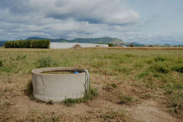 137 Matchitt Road Opotiki Surrounds_3
