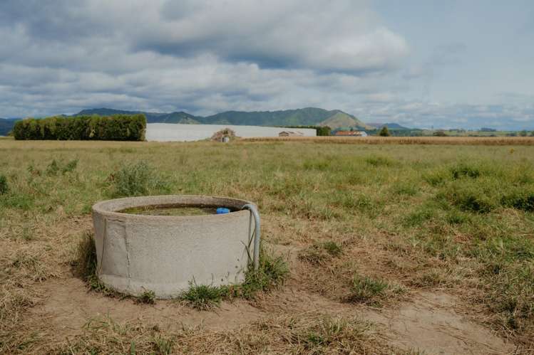 137 Matchitt Road Opotiki Surrounds_3