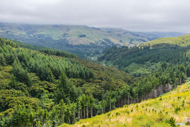 226 Middle Road Pigeon Bay_10