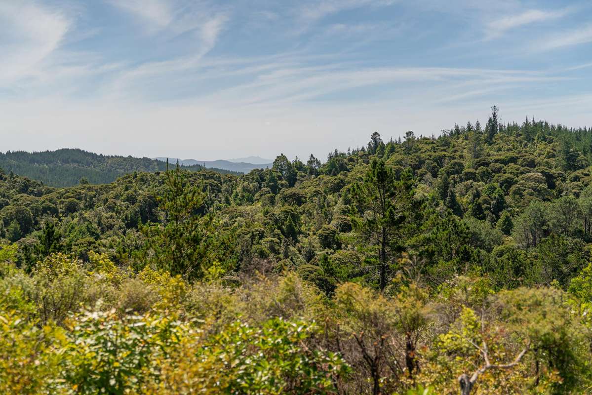 57 Tarapatiki Drive_5