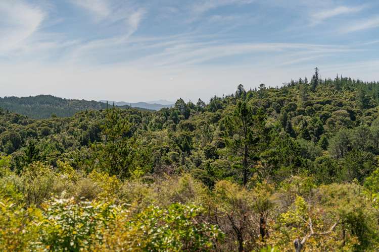 57 Tarapatiki Drive Whitianga_9