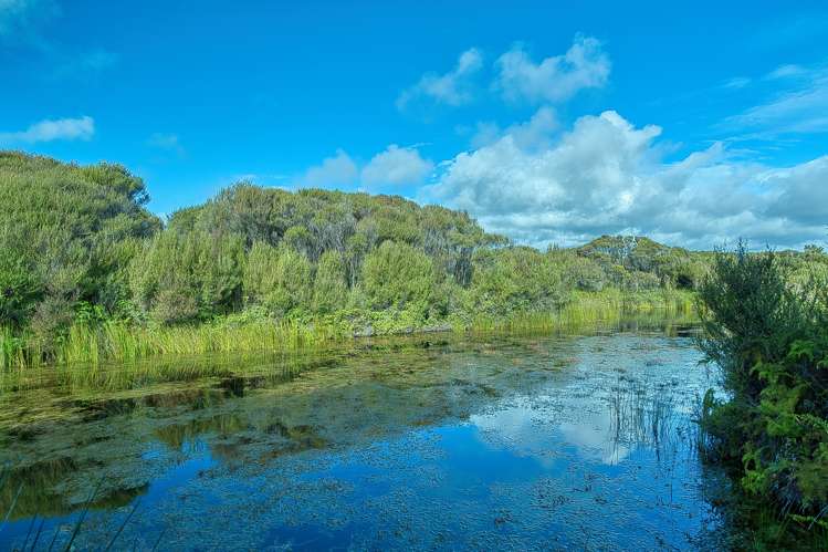 192 Keogans Road Hokitika_53