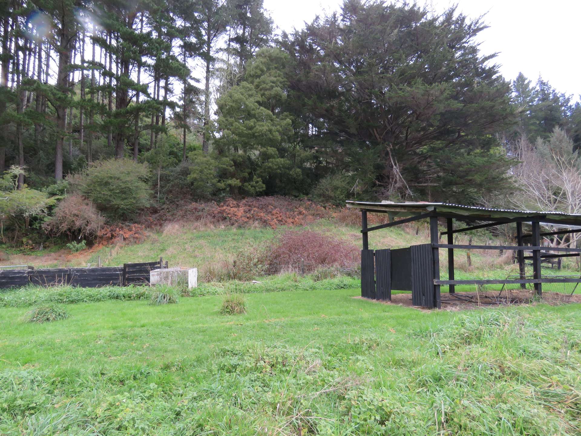 3679 Ohura Road Ohura_0