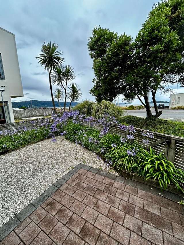 167 The Esplanade Petone_4