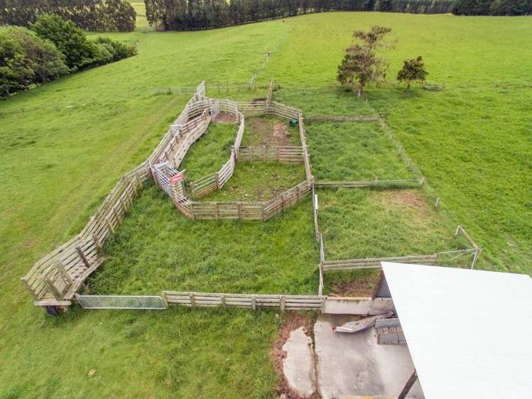 309 Ward Road St Andrews_8