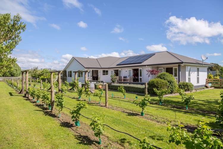 39 Carters Line Carterton_15