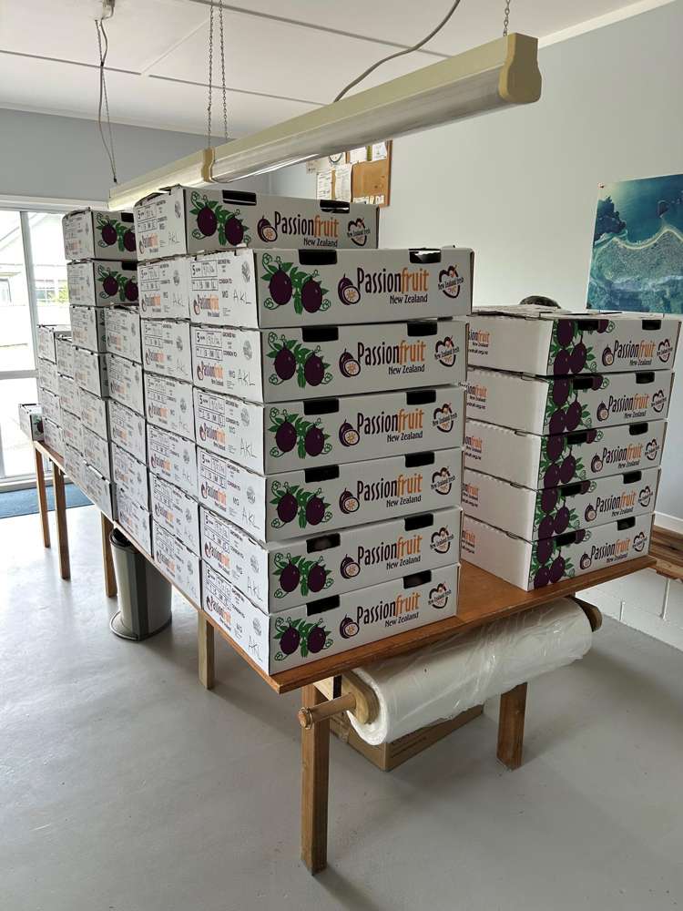 241 Rea Road Katikati_27