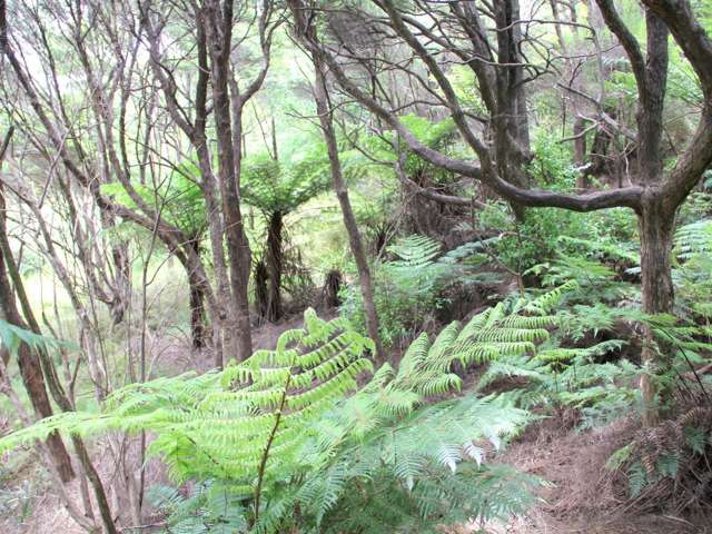 117 Aotea Road Great Barrier Island (Aotea Island)_1