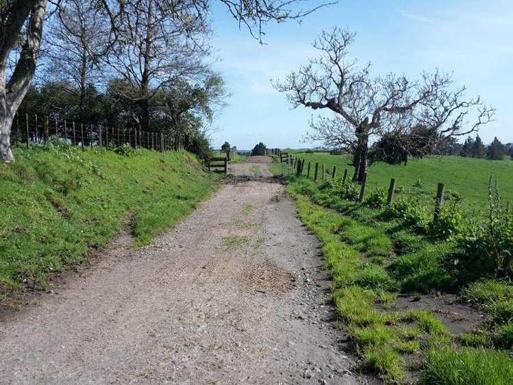 346 Rugby Road Tariki_35