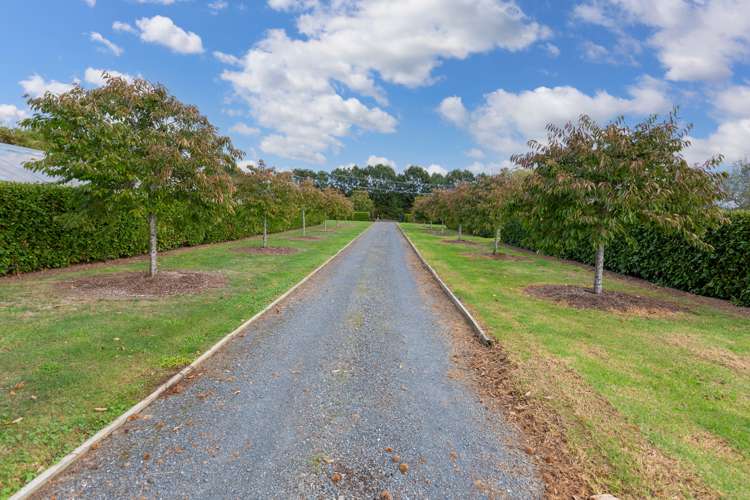 74 Beaver Road Pukekohe East_29