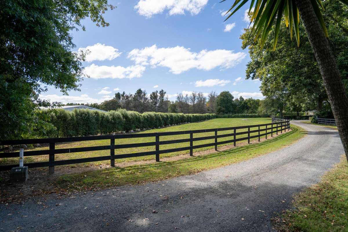 191 Racecourse Road_0