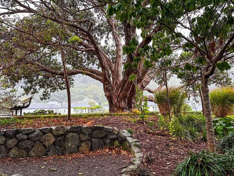 70 Hobson Street Thorndon_16