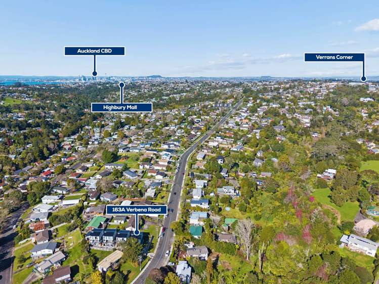 163A Verbena Road Birkdale_11