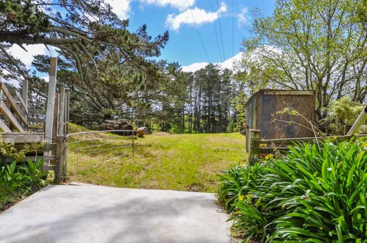 1501 East Coast Road Redvale_9