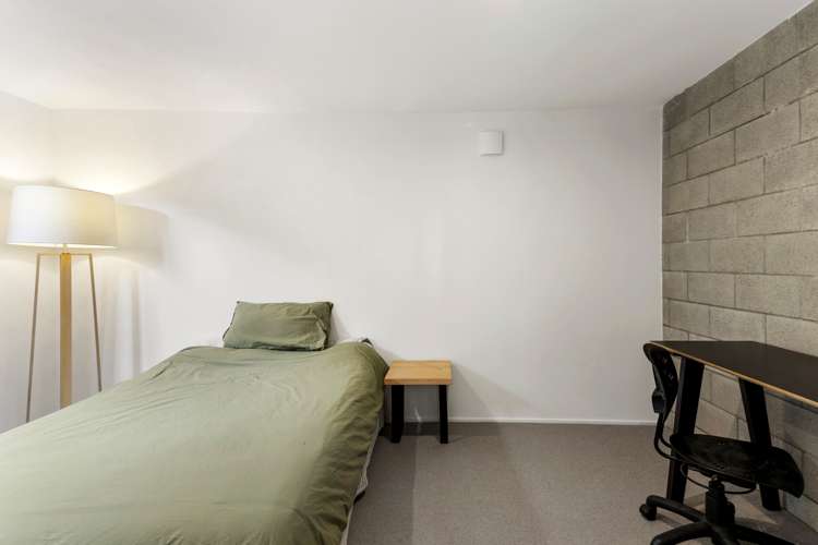 13 Hoggard Street Vogeltown_8