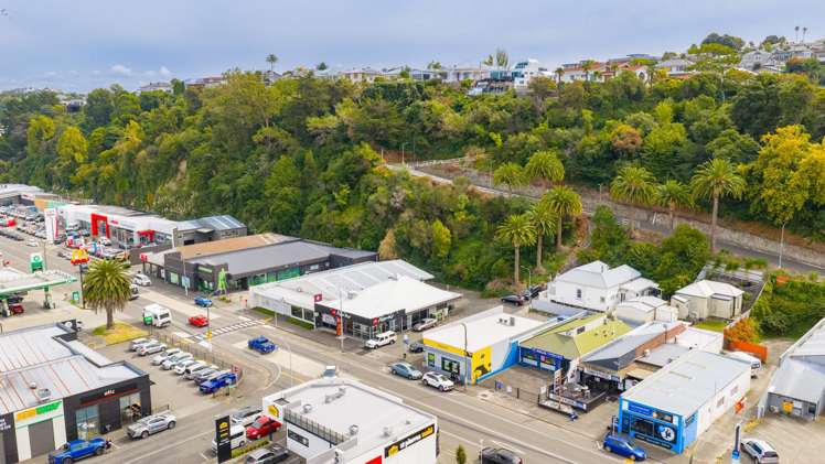 29 Carlyle Street Napier South_5