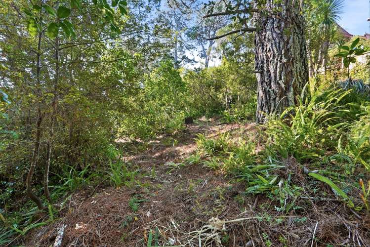 11A Saddleback Rise Murrays Bay_47