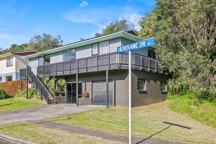 41 Herekawe Drive Spotswood_19