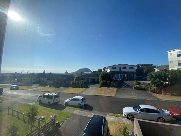 24A Terrace Avenue 11229_25
