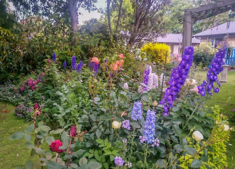 Meehan Place Makikihi_13