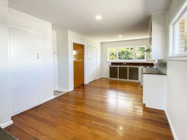 30 Clive Street Phillipstown_2