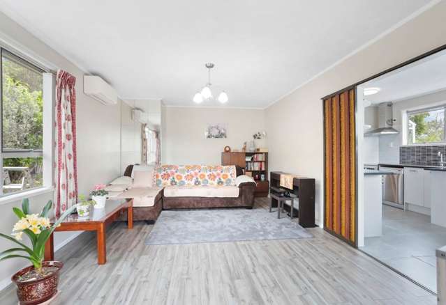 34 Terra Nova Street Glen Eden_4