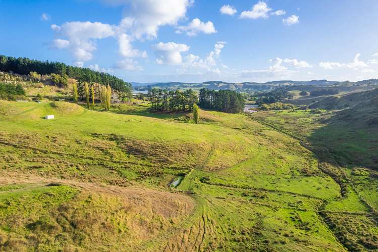 Kawhia Road (SH 31) Kawhia_8