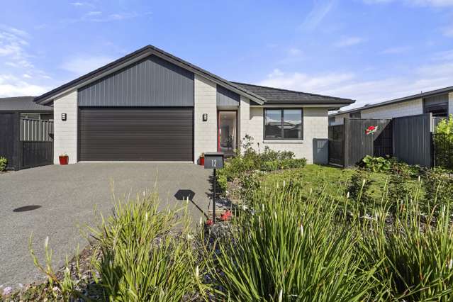 12 Traverse Lane Omokoroa_3