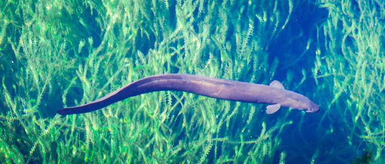 53 Porika Road Rotoroa_29