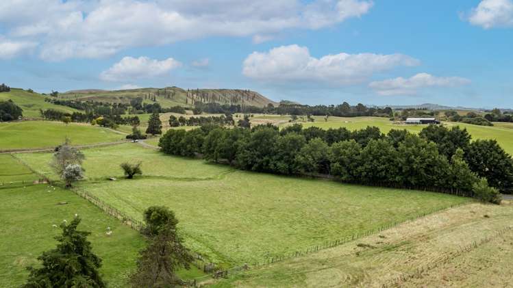 95 Settlement Road Waipukurau and Surrounds_5