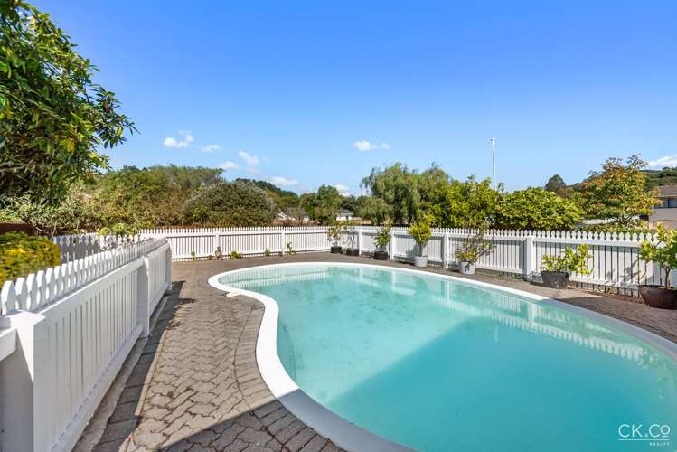 127 Gemstone Drive Birchville_19