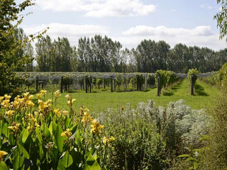 243b Manaia Road Masterton_20