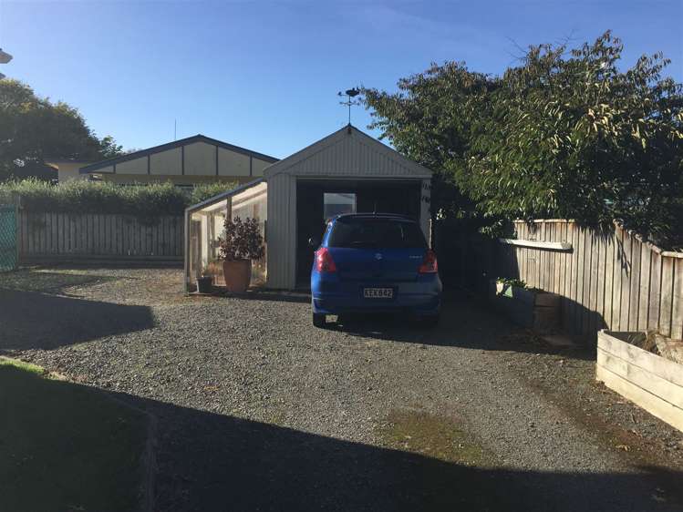 7 Bull Street Bulls_12