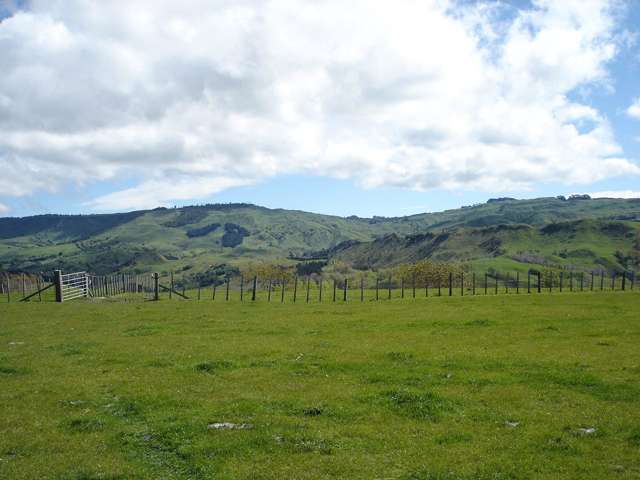 Te Apiti Road Waimarama_3