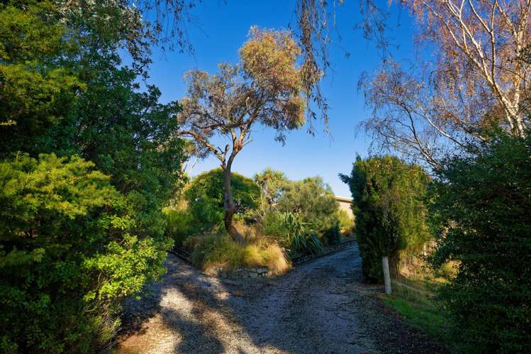 77 Wests Road Ward_16