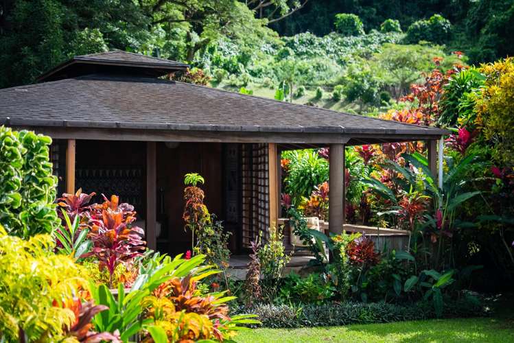 - Nacolase Plantation, Natewa Bay Vanua Levu_12