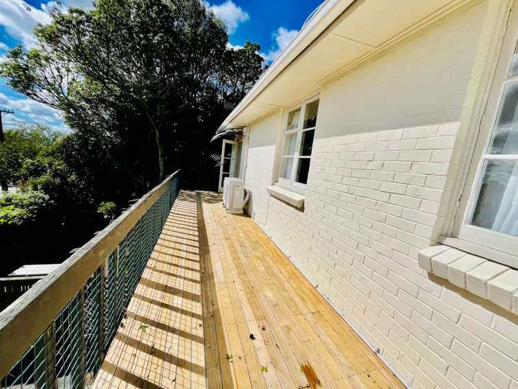 2/214 Campbell Road Greenlane_12