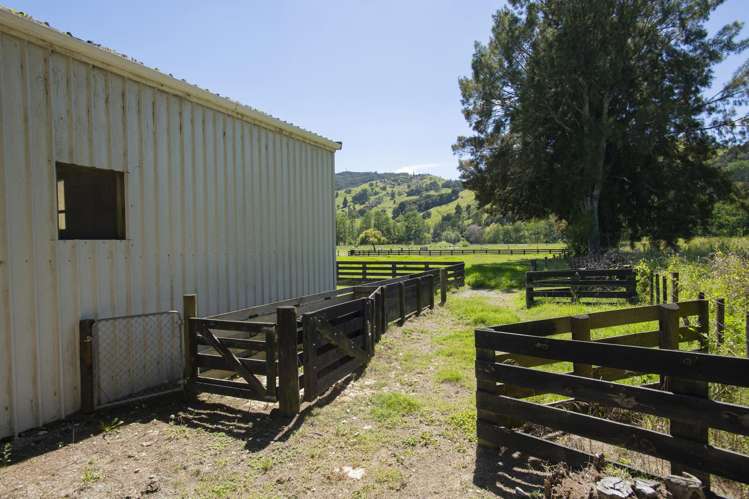 2388 Matawai Road Te Karaka_19