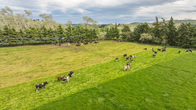 62 Waiau West Road Cheviot_12