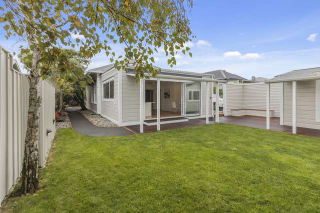 31 Bay Street Petone_1