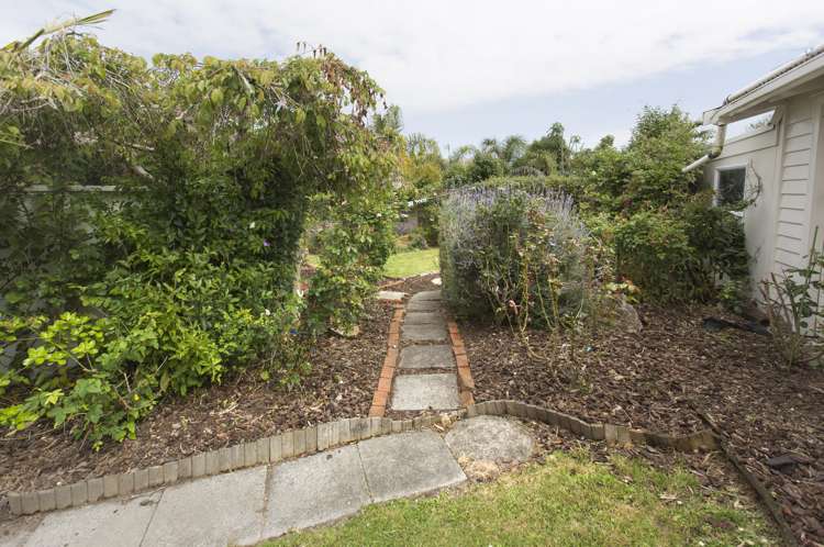 18 Plunket Street Dargaville_10