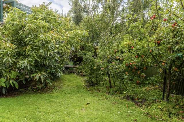 25 Kawatiri Avenue Gonville_3