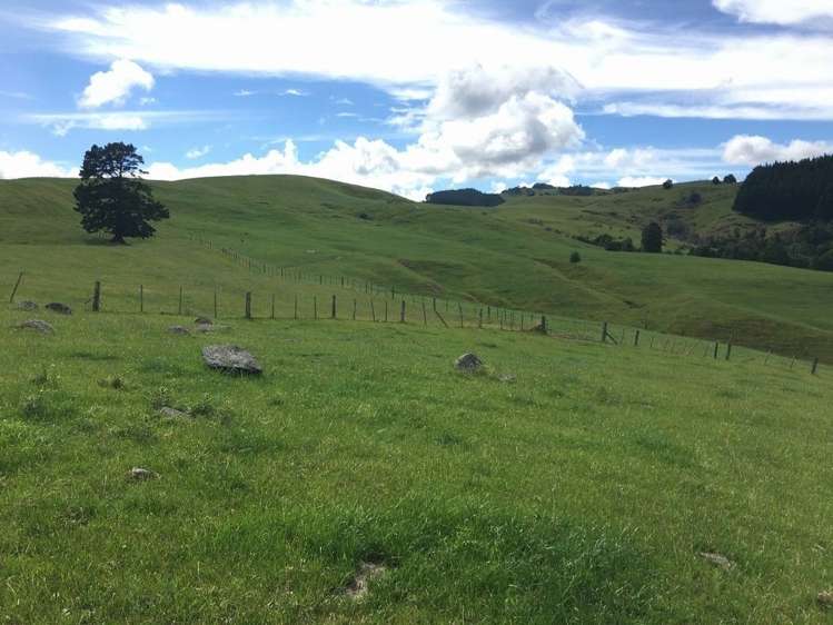 Maratoto Road Hauraki_10