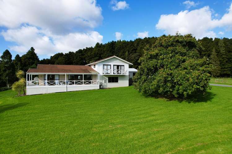 188 Swamp Road Mareretu_16