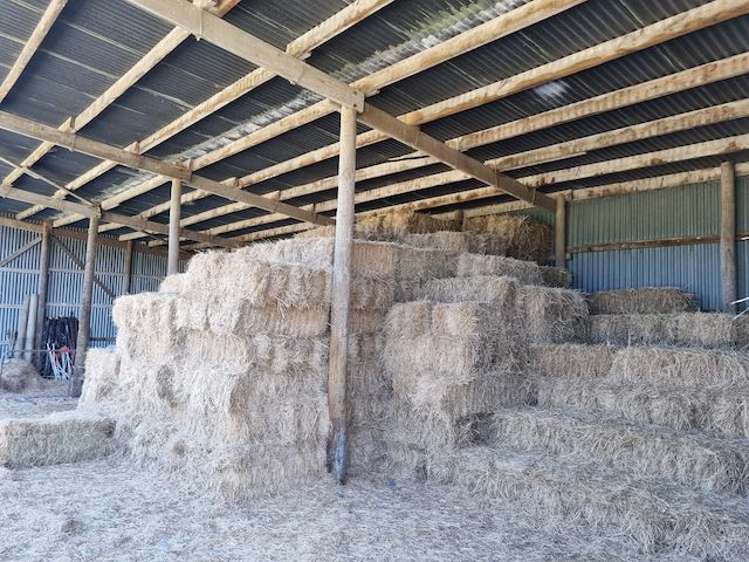 475 Ellesmere Road Lincoln_16