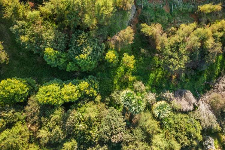 98 Cameron Way Makarau_31